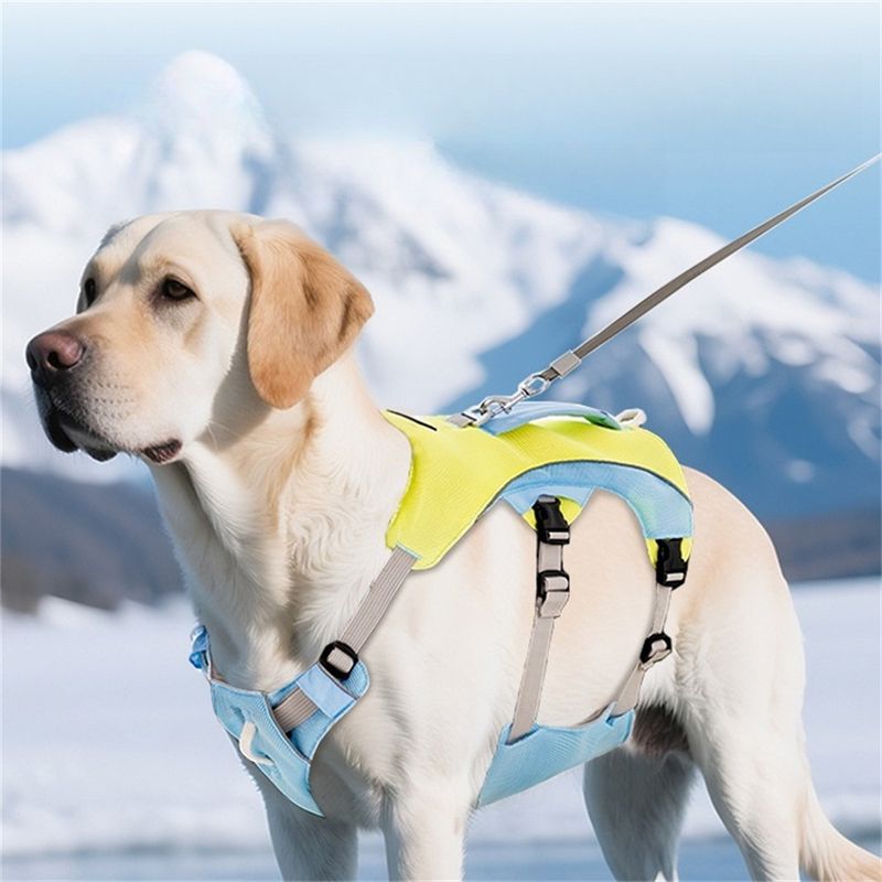 Pet Planet Harnachement de refroidissement pour chien d'été