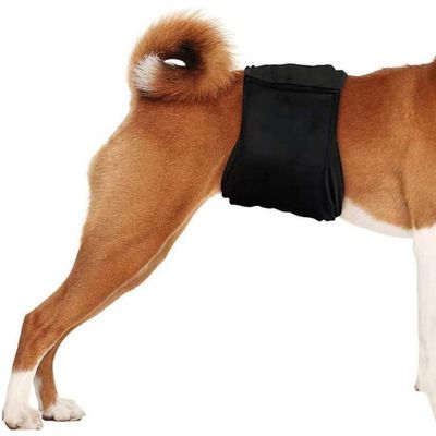 ZenPets 3 Couches Pour Chien Mâle Lavables Noires