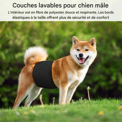 ZenPets 2 Couches Pour Chien Mâle Lavables Noires