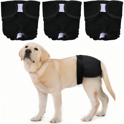 ZenPets 3 Pcs Couches Pour Chien