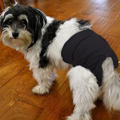 ZenPets 3 Pcs Couches Pour Chien