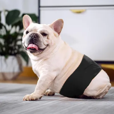 ZenPets 2 Couches Pour Chien Mâle Lavables Noires