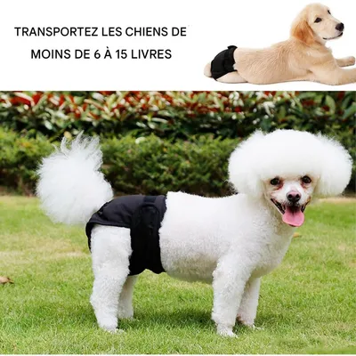 ZenPets 3 Pcs Couches Pour Chien