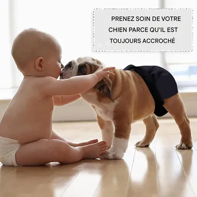 ZenPets 3 Pcs Couches Pour Chien