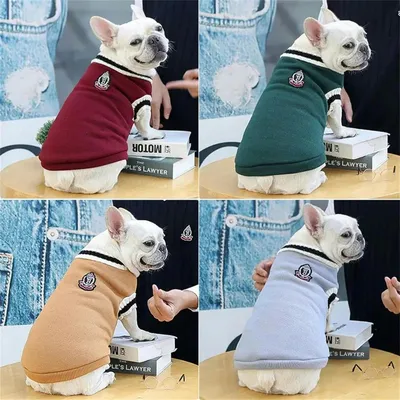 ZenPets Manteau Pull De Style Collégial Pour Chiens