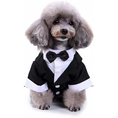 Pet Planet Gilet Vêtements Chiens