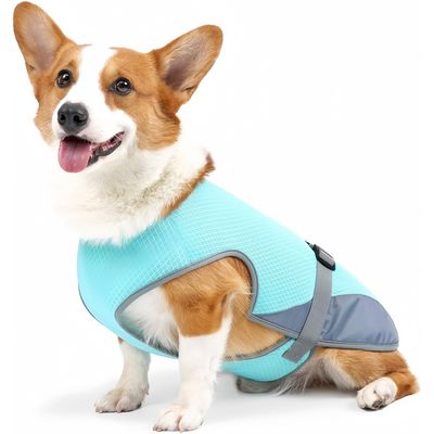 Pet Planet Gilet Rafraîchissant Pour Chien