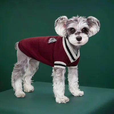 ZenPets Manteau Pull De Style Collégial Pour Chiens