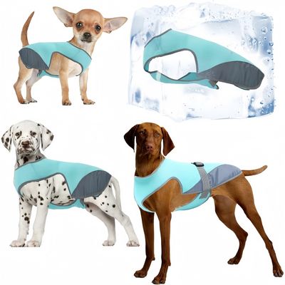 Pet Planet Gilet Rafraîchissant Pour Chien