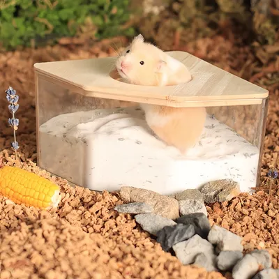 FurryFusion Baignoire pour petits animaux