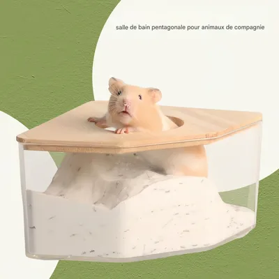 FurryFusion Baignoire pour petits animaux