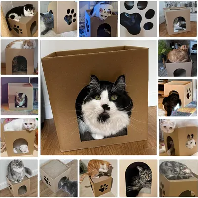 UAMLY Maison pour chat en carton avec griffoirs