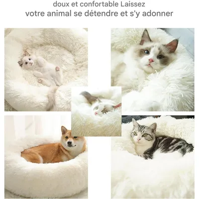 Pet Planet Canapé Lit Lavable Antidérapant Pour Chats Et Chiens