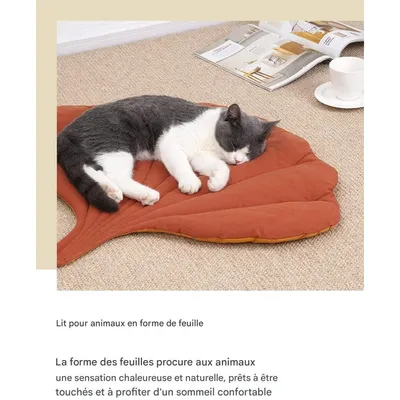 Pet Planet Nid de Chat et Lit de Chien en Forme de Feuille