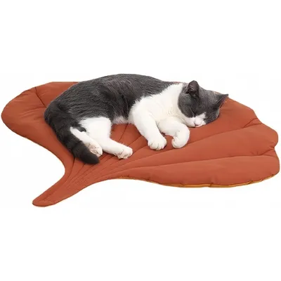 Pet Planet Nid de Chat et Lit de Chien en Forme de Feuille d'Érable