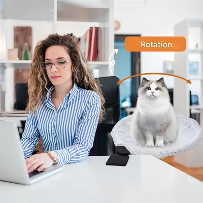 Pet Planet Lit de bureau pour chat