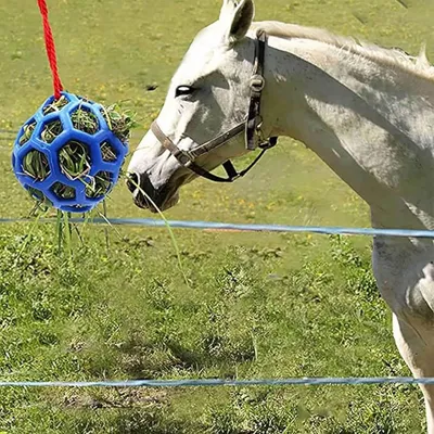 ZenPets Boules d'alimentation pour chevaux