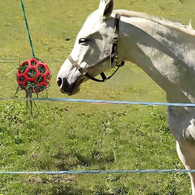 ZenPets Boules d'alimentation pour chevaux