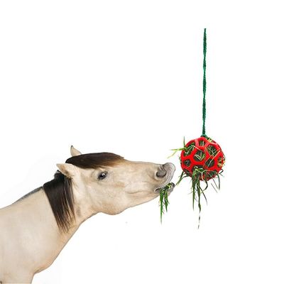 ZenPets Boules d'alimentation pour chevaux