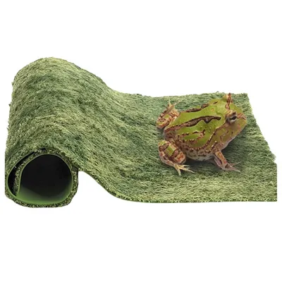 IntiMeg Tapis de mousse pour reptiles