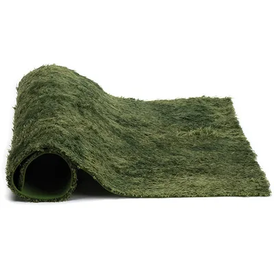 IntiMeg Tapis de mousse pour reptiles