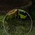 IntiMeg Tapis de mousse pour reptiles