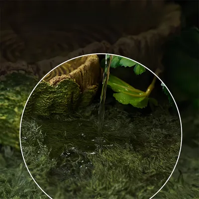 IntiMeg Tapis de mousse pour reptiles