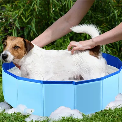 Pet Planet Baignoire pliable pour chien et chat