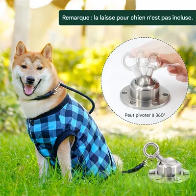 IntiMeg Piquet d'attache pour chien en acier inoxydable