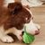 Pet Planet Jouet distributeur de nourriture