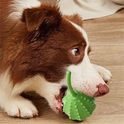 Pet Planet Jouet distributeur de nourriture