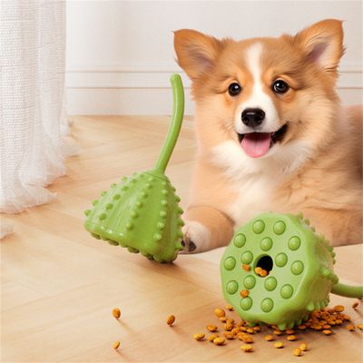 Pet Planet Jouet distributeur de nourriture