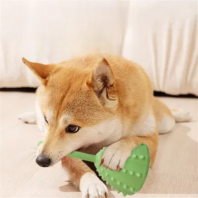 Pet Planet Jouet distributeur de nourriture