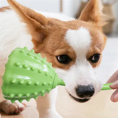 Pet Planet Jouet distributeur de nourriture