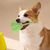 Pet Planet Jouet distributeur de nourriture