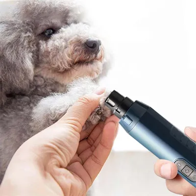 IntiMeg Meuleuse à ongles électrique pour animaux