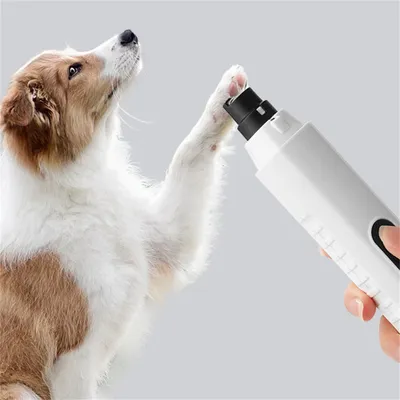 IntiMeg Meuleuse à ongles électrique pour animaux