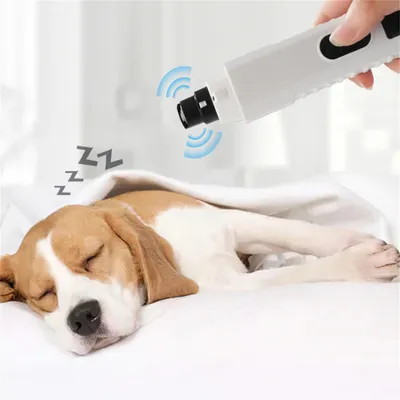 IntiMeg Meuleuse à ongles électrique pour animaux