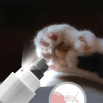 IntiMeg Meuleuse à ongles électrique pour animaux