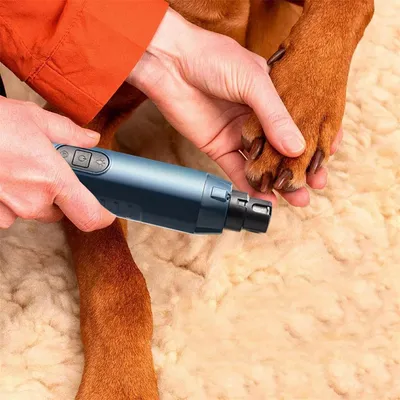 IntiMeg Meuleuse à ongles électrique pour animaux