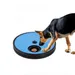 IntiMeg Multifunktionsplatte für Hundekrallen