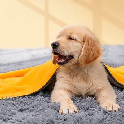 ZenPets Serviette pour chien en microfibre