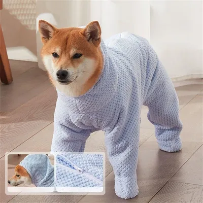 Pet Planet Serviette absorbante pour animaux de compagnie