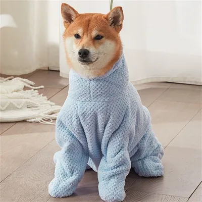 Pet Planet Serviette absorbante pour animaux de compagnie