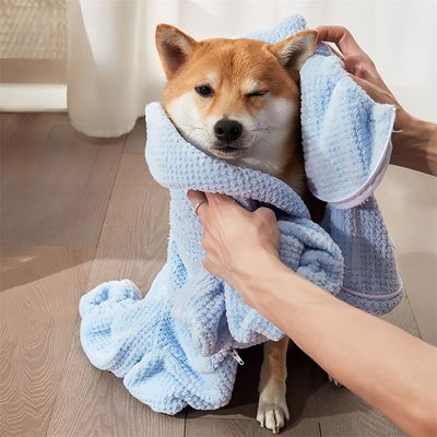 Pet Planet Serviette absorbante pour animaux de compagnie