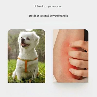 ZenPets Collier anti-insectes pour chien et chat