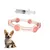ZenPets Collier anti-insectes pour chien et chat