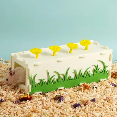 FurryFusion Tunnel amovible pour animaux