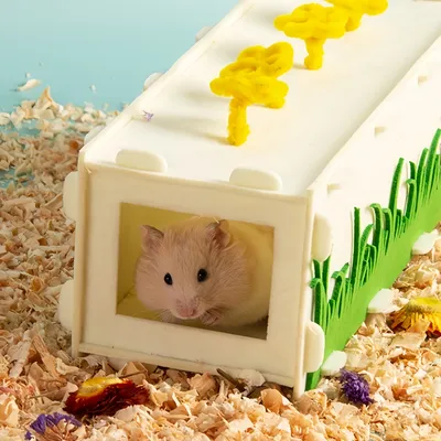 FurryFusion Tunnel amovible pour animaux