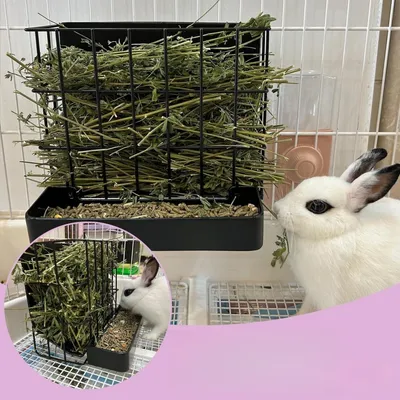 ZenPets Mangeoire à foin pour lapin